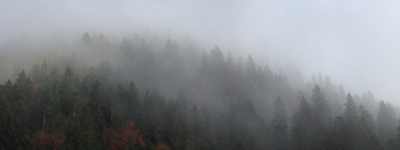 nachhaltige unterkuenfte in deutschland urlaub in der natur in den bergen ruhe allgemeine geschaeftsbedingungen portalbedingungen für anbieter