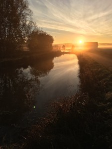 Der Weihnachtskarpfen - oder der nachhaltigste Fisch der Welt?