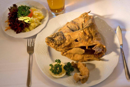 Der Weihnachtskarpfen - oder der nachhaltigste Fisch der Welt?