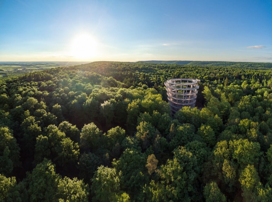 steigerwald baumwipfelpfad panorama