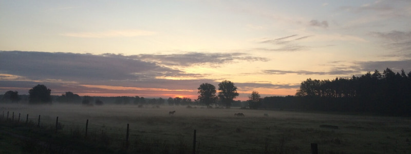 Reisen mit Abstand Altmark Aufenlandschaft Sonnenuntergang