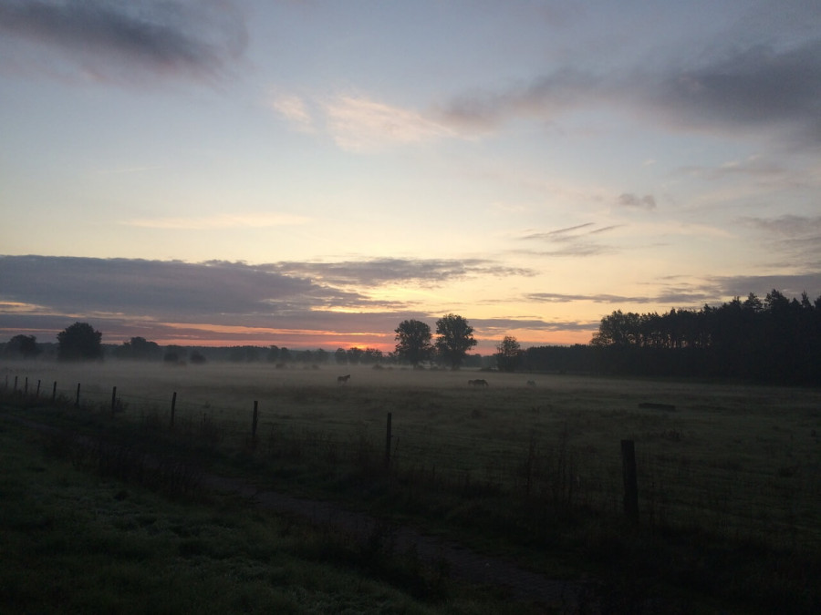 Reisen mit Abstand Altmark Aufenlandschaft Sonnenuntergang