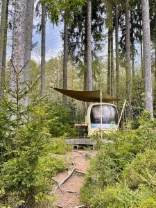 Die Berggondel im Wald