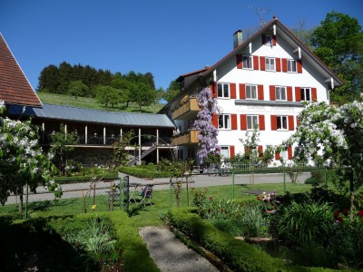 nachhaltige unterkuenfte in deutschland urlaub in der natur auf dem land am wasser landhotel martinsmuehle bodensee bayern streuobstwiese