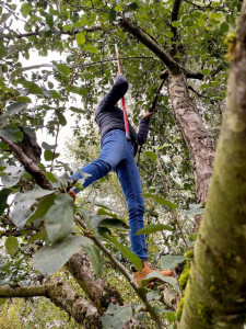 Die Obstbaumpatenschaft - oder - mir gehört jetzt ein Apfelbaum