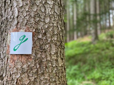 Ein Bett unter Kirchenglocken