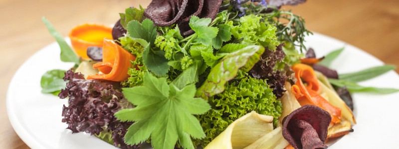 nachhaltige unterkuenfte in deutschland solidarische landwirtschaft biologischer anbau gemeinwohlprinzip vegetarische speisen saisonal regional lokal