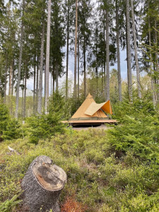 Die Berggondel im Wald