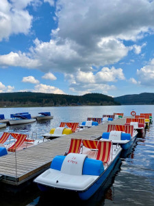 Die Berggondel im Wald