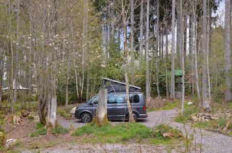 Die Berggondel im Wald