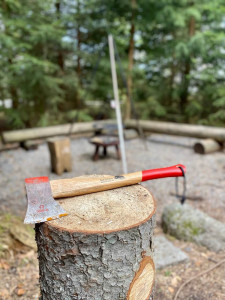 Die Berggondel im Wald