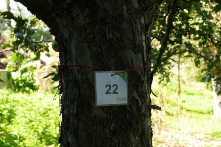 nachhaltiges reisen in deutschland oekologisch umweltbewusst artenvielfalt natur streuobstwiese alte apfelsorten obstbaumpatenschaft