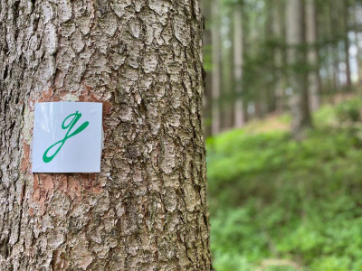 Ein Bett unter Kirchenglocken