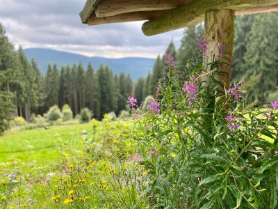 Ein Bett unter Kirchenglocken