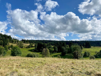 Ein Bett unter Kirchenglocken