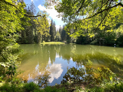 Ein Bett unter Kirchenglocken