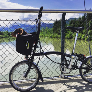 nachhaltig reisen mit hund, hund und natur, urlaub mit hund in der nähe, kurztrip mit hund, kurz mal weg mit hund, reiseziele mit hund, intensivtraining hund urlaub, wochenende mit hund, wochenendtrip mit hund, wochenendtrips mit hund, kurzreisen mit hund