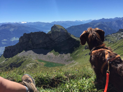 nachhaltig reisen mit hund, hund und natur, urlaub mit hund in der nähe, kurztrip mit hund, kurz mal weg mit hund, reiseziele mit hund, intensivtraining hund urlaub, wochenende mit hund, wochenendtrip mit hund, wochenendtrips mit hund, kurzreisen mit hund