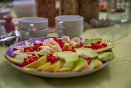 nachhaltig reisen mit hund, hund und natur, urlaub mit hund in der nähe, kurztrip mit hund, kurz mal weg mit hund, reiseziele mit hund, intensivtraining hund urlaub, wochenende mit hund, wochenendtrip mit hund, wochenendtrips mit hund, kurzreisen mit hund