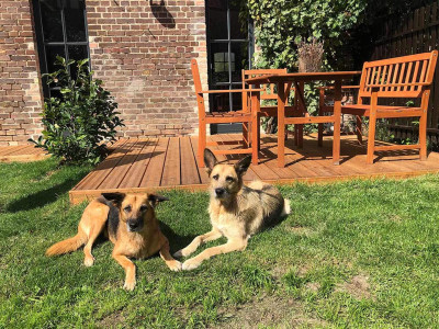 nachhaltig reisen mit hund, hund und natur, urlaub mit hund in der nähe, kurztrip mit hund, kurz mal weg mit hund, reiseziele mit hund, intensivtraining hund urlaub, wochenende mit hund, wochenendtrip mit hund, wochenendtrips mit hund, kurzreisen mit hund