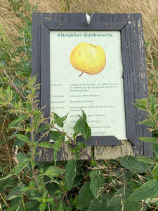 Rad, Land, Fluss - Eine Sehnsuchtsreise entlang der Elbe