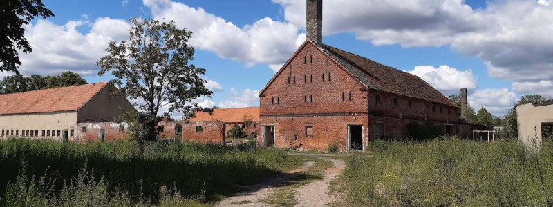 albertinenhof havelland brandenburg ehemalige ziegelei sternenpark schafbeweidung streuobstwiese vogelschutzhecke naturschutz gaertnerei regenerative landwirtschaft schutz durch nutzung tiny house bauwagen sternenzelt storch