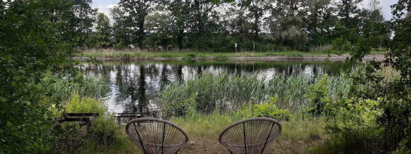 albertinenhof havelland brandenburg ehemalige ziegelei sternenpark schafbeweidung streuobstwiese vogelschutzhecke naturschutz gaertnerei regenerative landwirtschaft schutz durch nutzung tiny house bauwagen sternenzelt havel