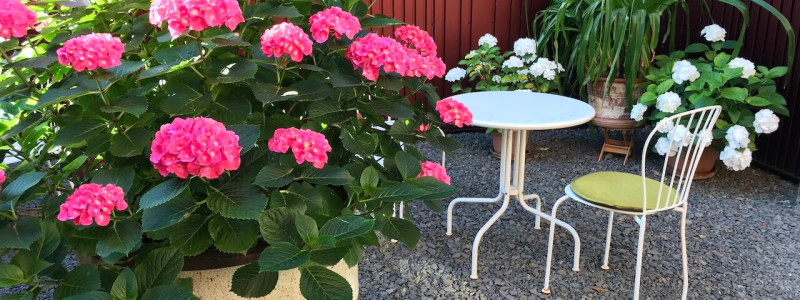 koeln weiss staedtereise urlaub in deutschland nachhaltige unterkunft boutique hotel ferienwohnung antik vintage cafe patisserie backsteinhaus atriumgarten