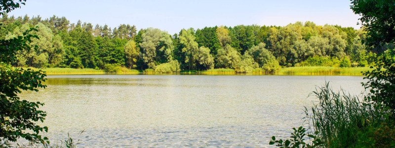 altes backhaus haselberg brandenburg oderbruch maerkisch oderland urlaub mit kindern familienurlaub nachhaltige ferienwohnungen denkmalgeschuetztes gutshaus grosser see harnekop