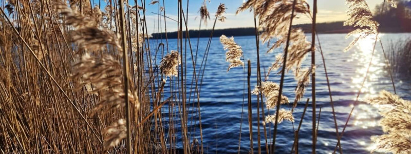 Am See unter Freunden