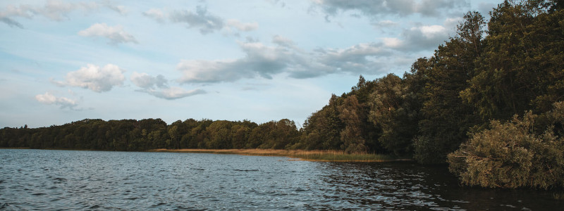 auszeit tollensesee mecklenburger seenplatte mecklenburg-vorpommern neubrandenburg energieneutral energiepositiv minimalhäuser tiny houses plastikvermeidung geringer co-2-fussabdruck holz ökologische bauweise photovoltaik urlaub mit kindern mit hund am wasser entspannung ruhe einsamkeit see