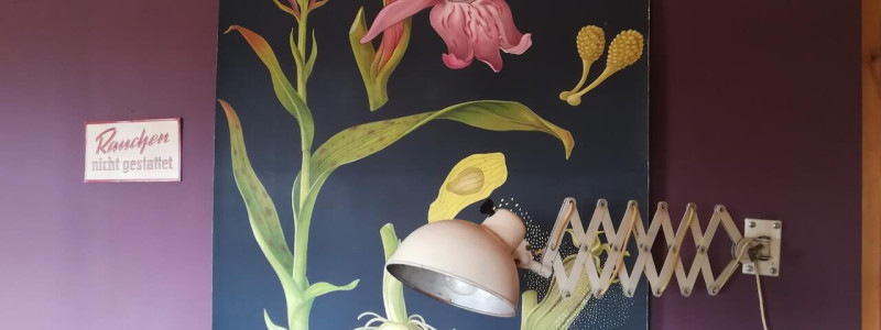 benno der wagen aussergewoehnliche unterkunft zirkuswagen schiessbude tiny house weniger ist mehr es braucht nicht viel zum gluecklichsein frankenwald rennsteig nordbayern bayern ganz weit oben thueringen recycle reuse upcycling second hand flohmarktfunde kleinanzeigen wiederverwenden urlaub im gruenen in der natur ruhe waldbaden wand leselampe blumenbild