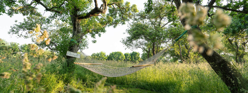 Biohof Nature Homes