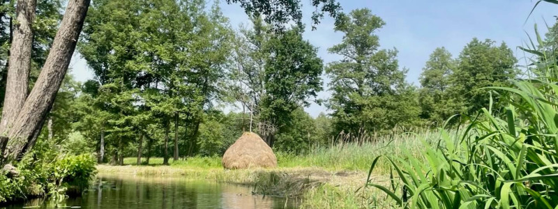 scheune am weissen haus spreewald brandenburg nachhaltig reisen in deutschland urlaub am wasser denkmalschutz holzfaserdaemmung alter kuhstall kanal spreefahrt