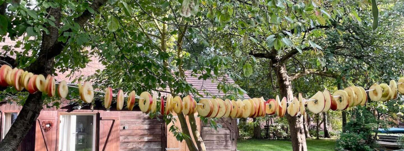 scheune am weissen haus spreewald brandenburg nachhaltig reisen in deutschland urlaub am wasser denkmalschutz holzfaserdaemmung alter kuhstall garten obst zum trocknen