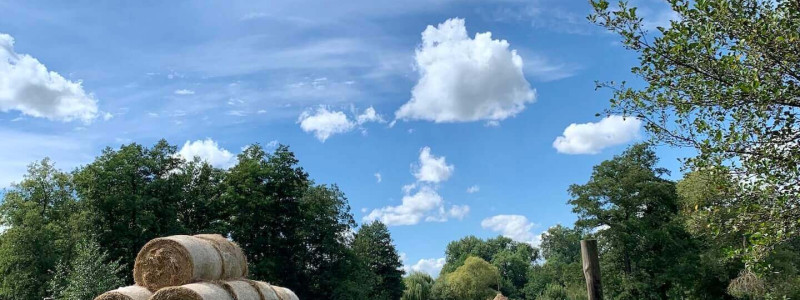 scheune am weissen haus spreewald brandenburg nachhaltig reisen in deutschland urlaub am wasser denkmalschutz holzfaserdaemmung alter kuhstall kanal spree