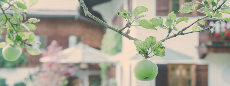 lederer hof tegernsee boutique apartments urlaub am wasser in den bergen mit kindern mit hund regionales fruehstueck kurze transportwege lokale lieferanten second hand moebel holzmoebel apfelbaum