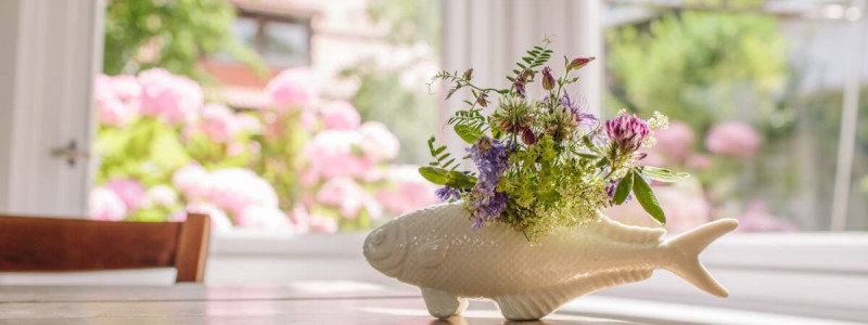 die fellerei nachhaltige unterkunft holzhaus oberharz harz urlaub in der natur im gruenen oekologisches hotel regionalität saisonal frisch vegetarische kueche yoga accessoires