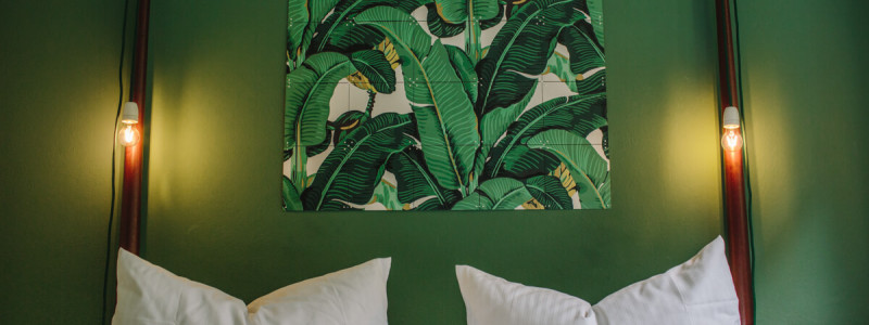 die fellerei nachhaltige unterkunft holzhaus oberharz harz urlaub in der natur im gruenen oekologisches hotel regionalität saisonal frisch vegetarische kueche yoga bett gruenes zimmer