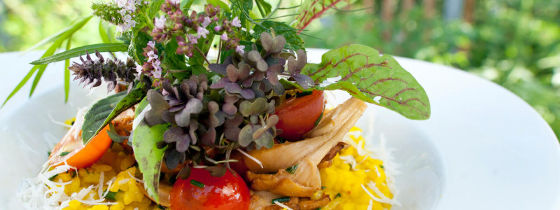 nachhaltige unterkunft familienhotel weimar urlaub in deuschland in der stadt oekologisches holzhaus stadturlaub staedtereise mit kindern mit grosseltern apartments umweltbewusstes reisen gretchen restaurant teller