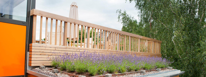 nachhaltige unterkunft familienhotel weimar urlaub in deuschland in der stadt oekologisches holzhaus stadturlaub staedtereise mit kindern mit grosseltern apartments umweltbewusstes reisen dachterrasse lavendel