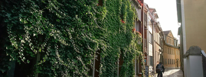 nachhaltige unterkunft familienhotel weimar urlaub in deuschland in der stadt oekologisches holzhaus stadturlaub staedtereise mit kindern mit grosseltern apartments umweltbewusstes reisen efeu