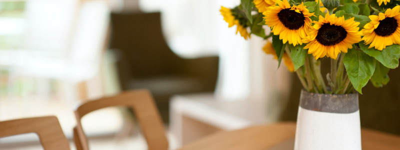 nachhaltige unterkunft familienhotel weimar urlaub in deuschland in der stadt oekologisches holzhaus stadturlaub staedtereise mit kindern mit grosseltern apartments umweltbewusstes reisen tisch sonnenblumen