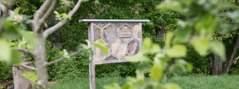 Ferienhäuser zur Allee