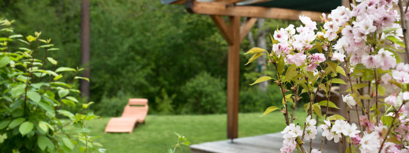 Ferienhäuser zur Allee