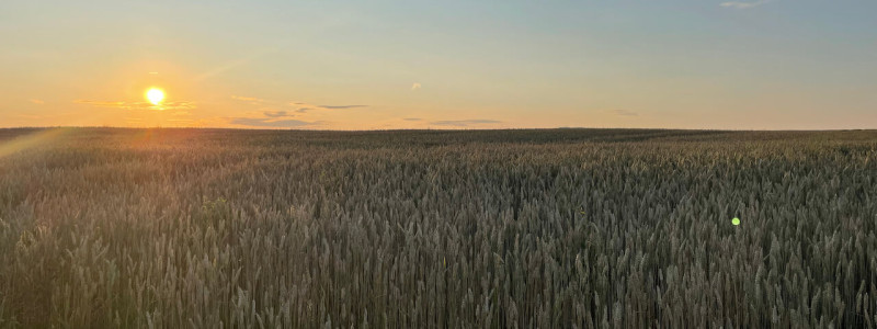 trafohaeuschen umspannstation ferienturm tiny house tiny tower aussergewoehnliche unterkunft weniger ist mehr leben auf kleinem raum bewahren von bestand urlaub in bayern im gruenen in der natur nationalpark biosphaerenreservat rhoen wald ruhe still entspannung auszeit podcast aufnehmen buch schreiben musik machen weekendescape hideaway bad kissingen franken great spa of the world unesco feld