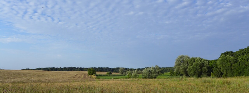 nachhaltige unterkuenfte in deutschland urlaub in der natur ruhe weite uckermark fereinwohnung unkengrund wiese