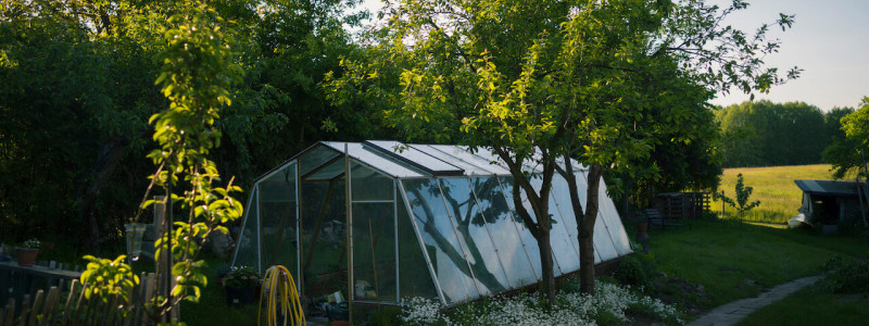 gasthaus canow mecklenburgische seenplatte gaestezimmer apartment fruehstueck gutes essen lebensmittelhandwerk regional saisonal biologisch second hand moebel holzmoebel geschreinert mit holz aus dem hiesigen wald gewaechshaus