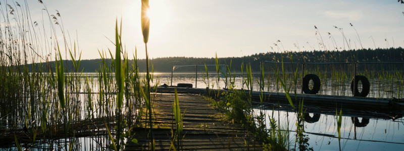 gasthaus canow mecklenburgische seenplatte gaestezimmer apartment fruehstueck gutes essen lebensmittelhandwerk regional saisonal biologisch second hand moebel holzmoebel geschreinert mit holz aus dem hiesigen wald see mit steg im sommer