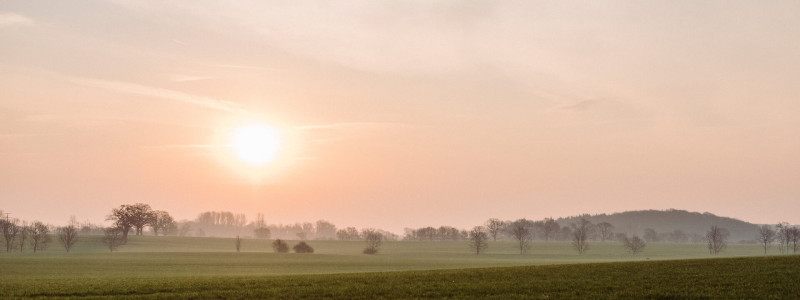 gut damp halbinsel schwansen schlei region ostsee ferien lofts hackschnitzel solaranlage regionale saisonale kueche lokale produzenten urlaub mit hunden mit kindern sonnenaufgang ueber den feldern